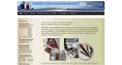 Desktop Screenshot of macrofauna.cl